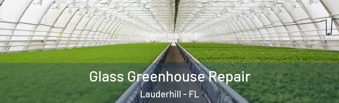 Glass Greenhouse Repair Lauderhill - FL